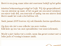 Brewi Interieur en Jacht Betimmering